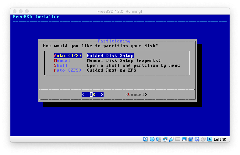 virtualbox-21-partitioning.png